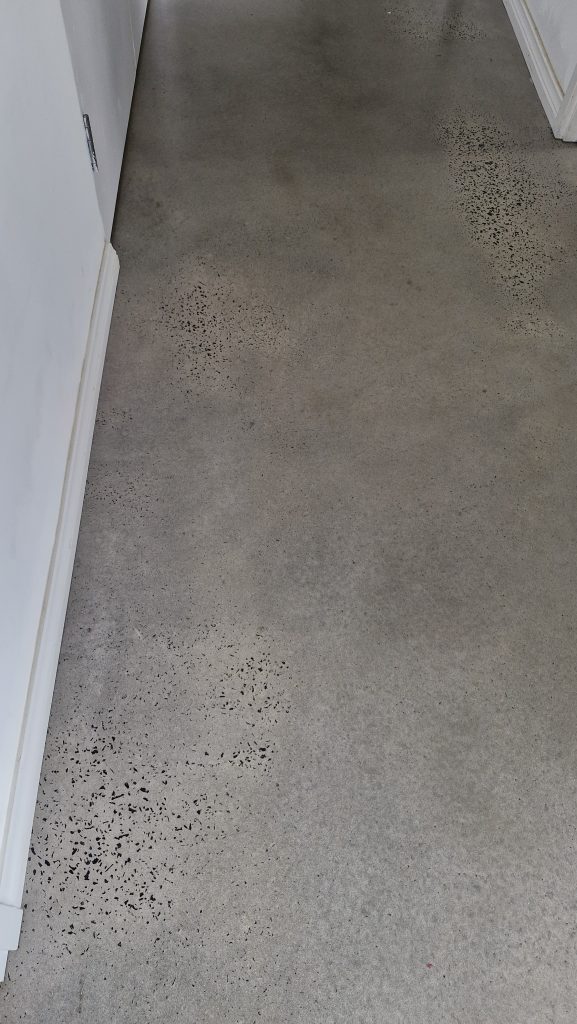 Random exposure finish - Poliushed Concrete - A corridor with a smooth, light grey concrete floor that has scattered dark specks and marks. White walls and skirting boards are visible on the sides.