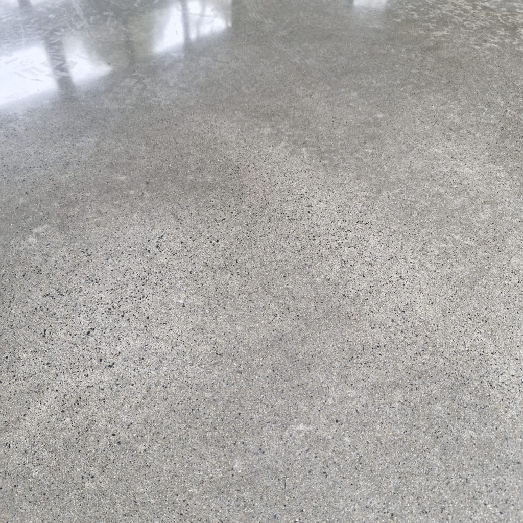 Salt and Pepper Finish - Polished concrete floor with a smooth, reflective surface and visible fine aggregate detail. Minimal colour variation, with reflections from nearby windows.