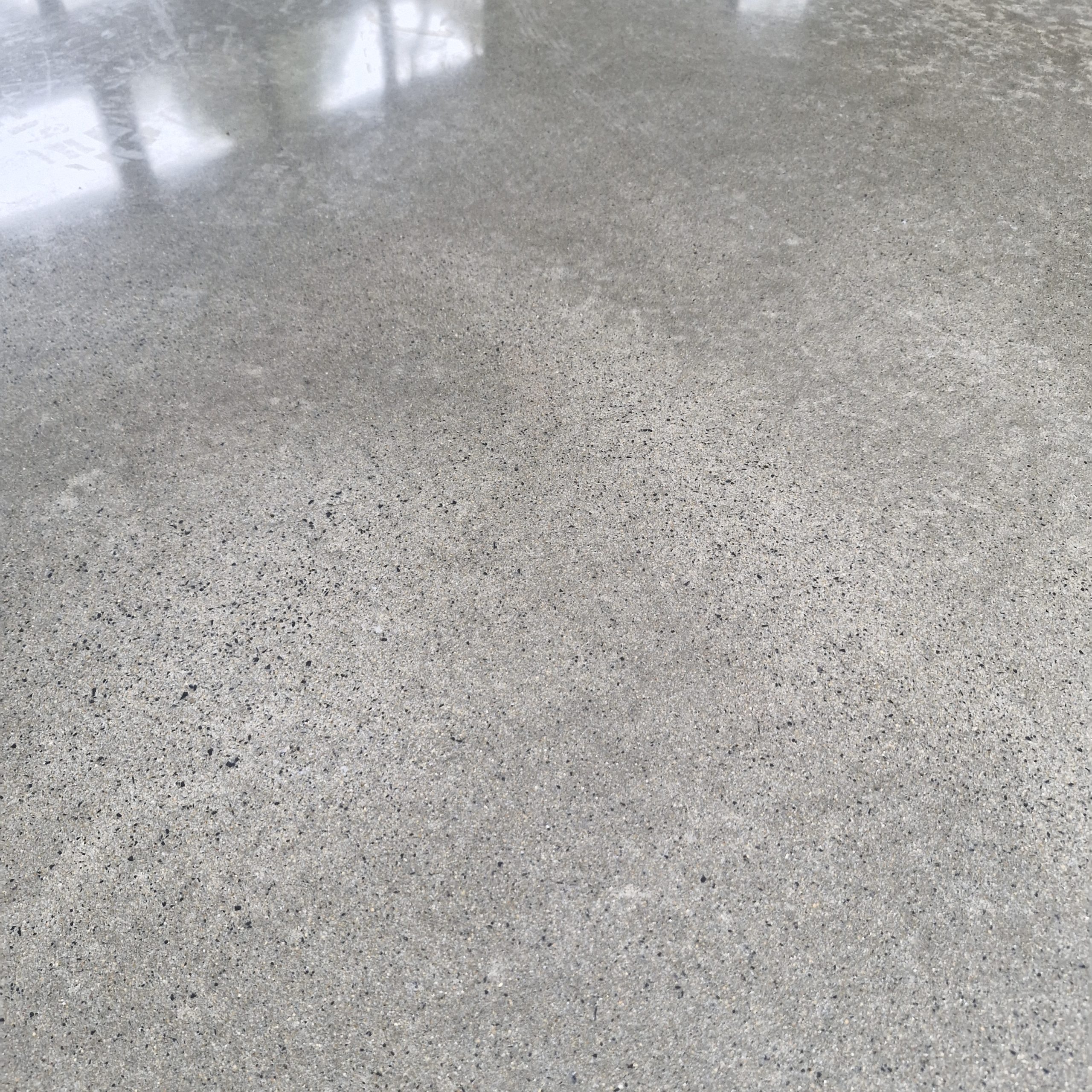 Salt and Pepper Finish - Polished concrete floor with a smooth, reflective surface and visible fine aggregate detail. Minimal colour variation, with reflections from nearby windows.