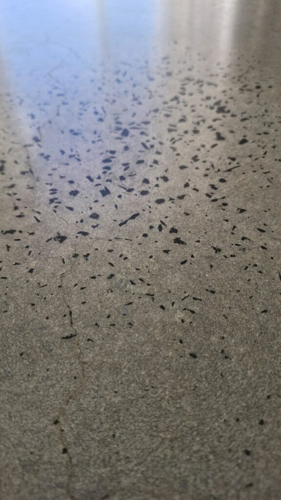 Close-up of polished concrete floor with a hairline crack.