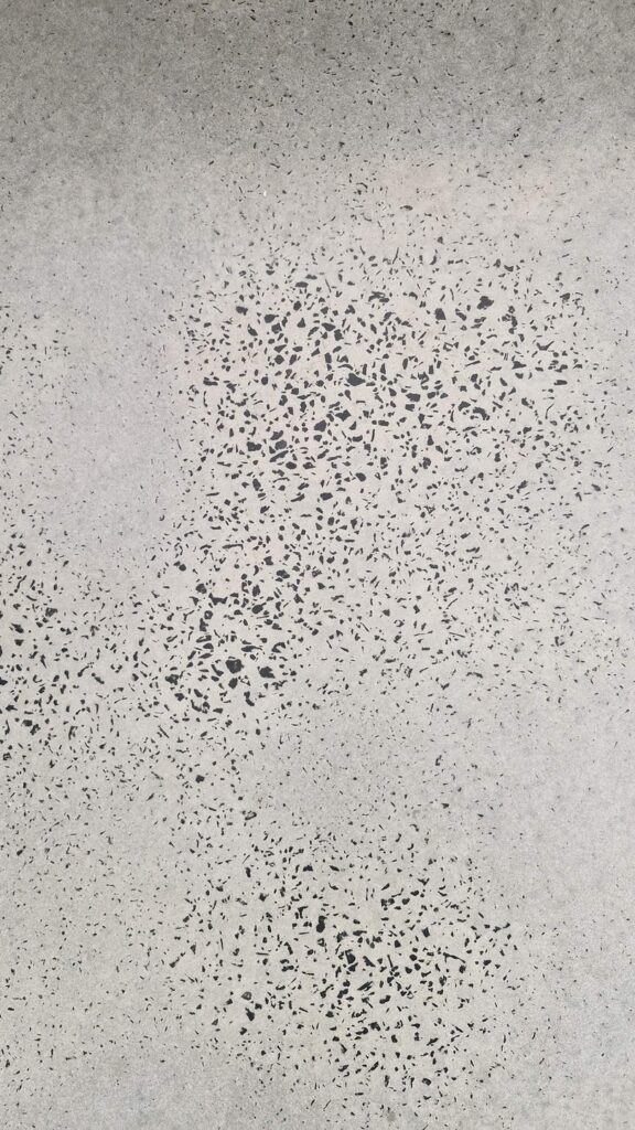Grey polished concrete surface with dark speckled aggregate texture.