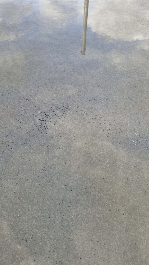 Grey concrete floor with reflections in a shallow puddle.